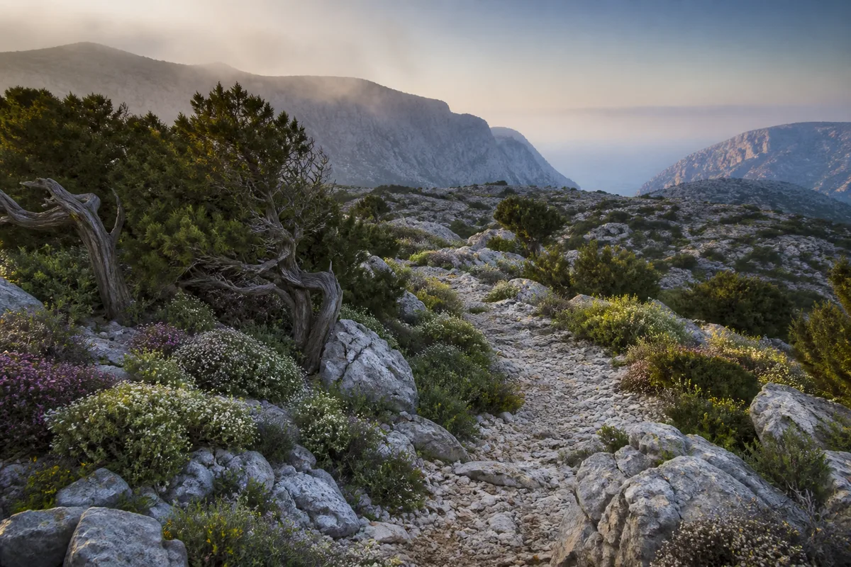 Sentier rocheux du Supramonte au printemps sous une lumière matinale